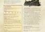 create custom dnd homebrew 5e content